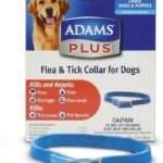 Small Dog Flea And Tick Collars Kill Fleas Within 24 Hours